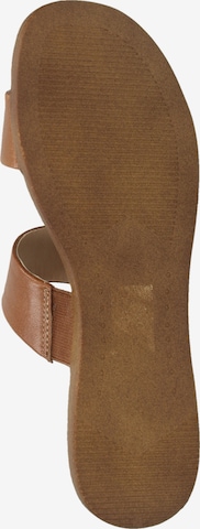 STEVE MADDEN Mules in Brown