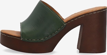 VENEZIA Mules 'Venezia' in Green: front