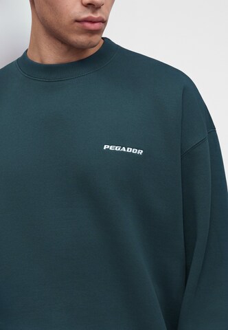 Sweat-shirt Pegador en vert