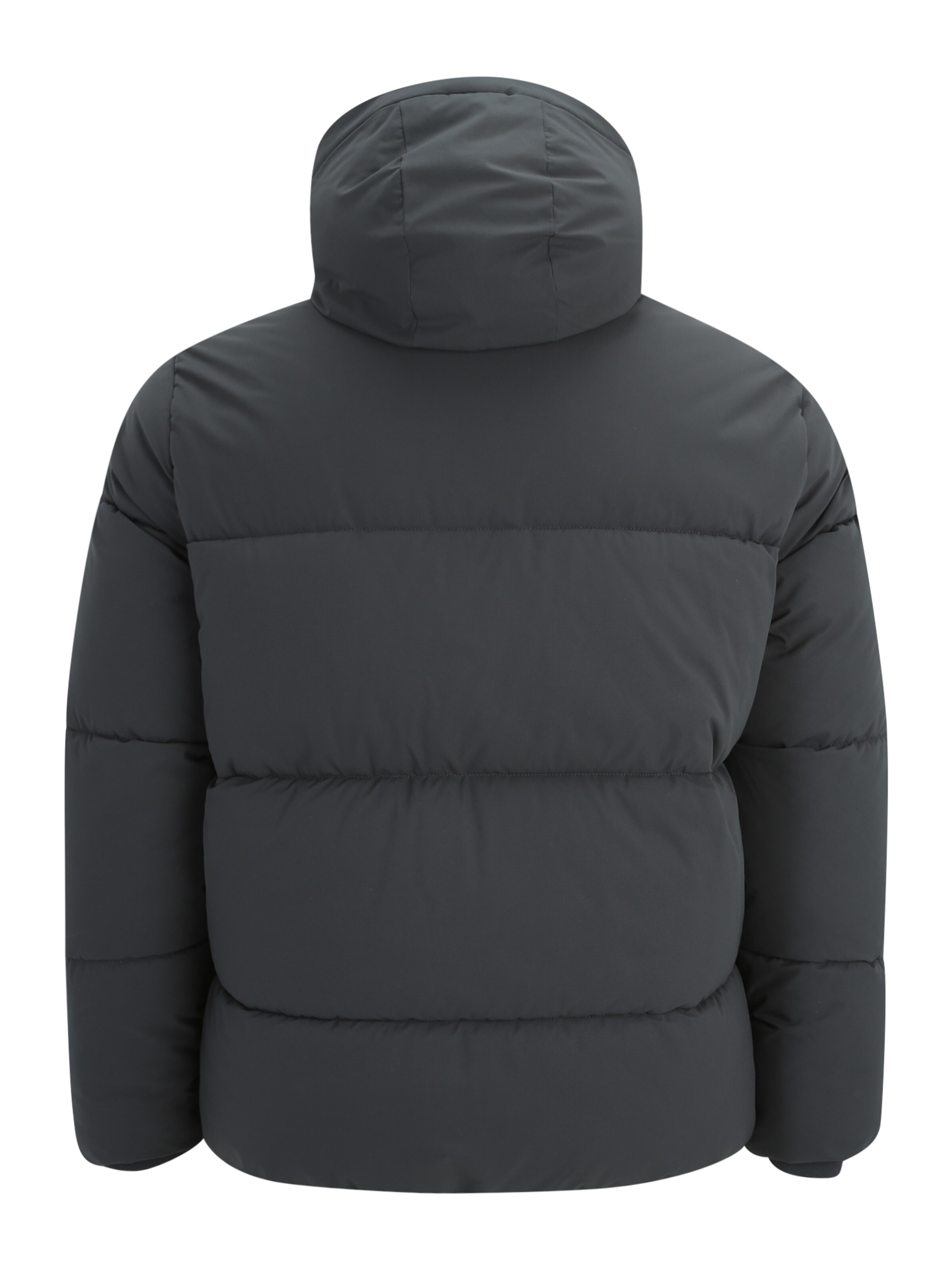 Veste d’hiver 'JORVESTERBRO' Jack & Jones Plus en vert