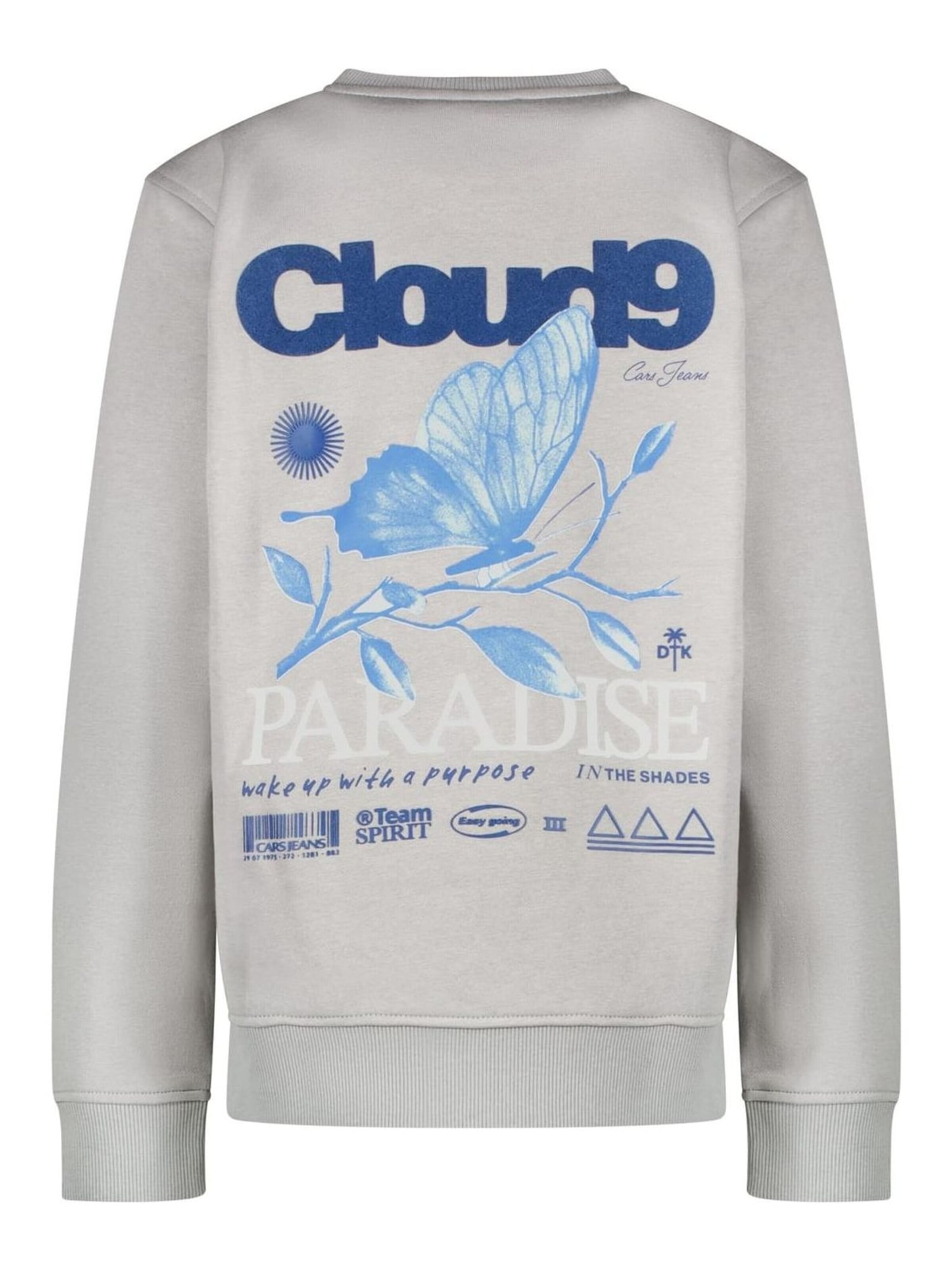 CARS Sweatshirt in Grey