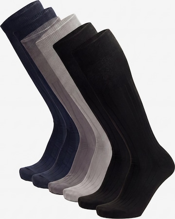 Ciocca Knee High Socks in Mixed colors: front