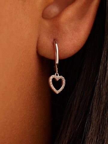 Lucardi Earrings in Silver: front