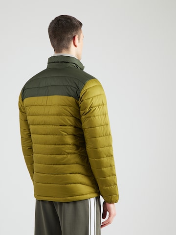 COLUMBIA Vabaajajope 'Powder Lite™ II', värv roheline