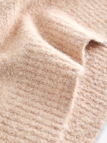 Next Dress in Beige