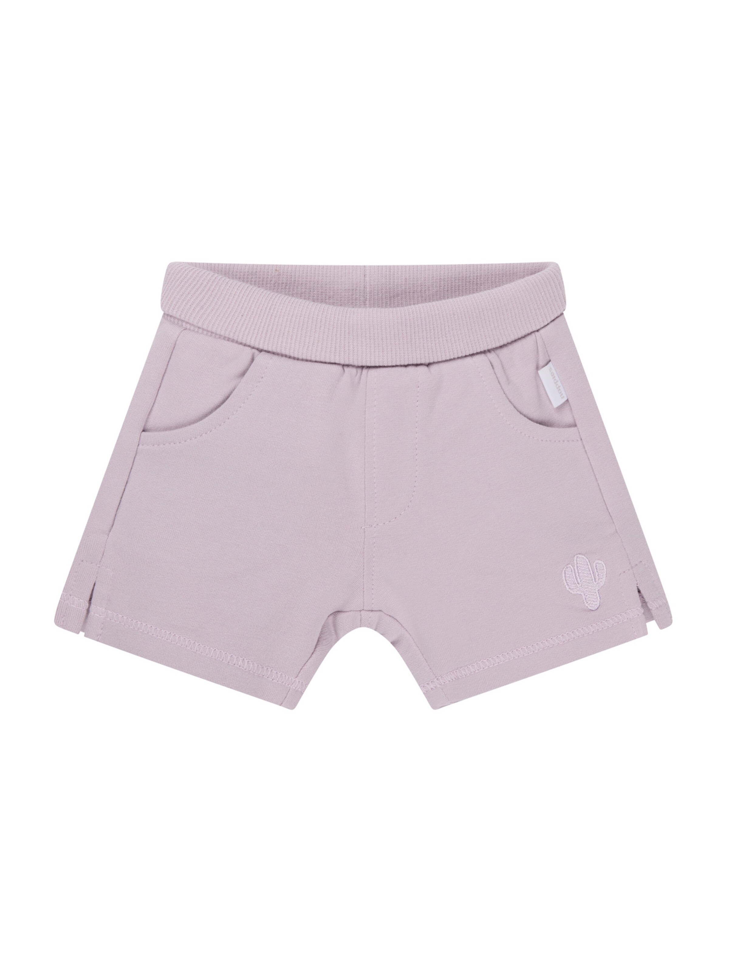 Noppies Обычный Штаны 'Osmar' в Лиловый: спереди