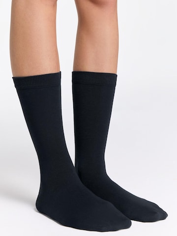 Albero Natur Socks in Black: front