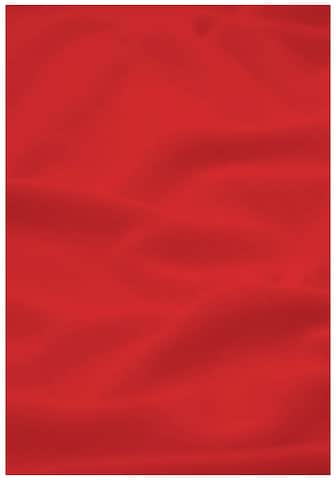 JACK WOLFSKIN Performance Shirt in Red