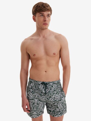 Shorts de bain 'Botanic' WESTMARK LONDON en vert : devant