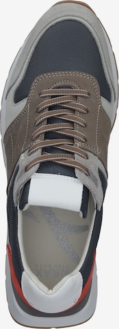 Sneaker bassa 'Miguel' di BRAX in grigio