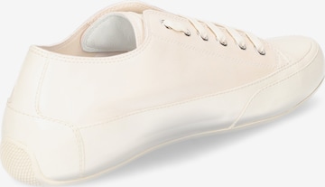 Candice Cooper Sneakers 'Rock S' in Beige