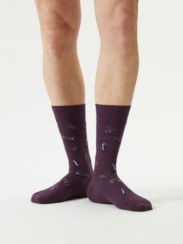Von Jungfeld Socks 'Herbst ICONS' in Purple