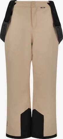 Whistler Skihose 'Drizzle' in Beige: Vorderseite