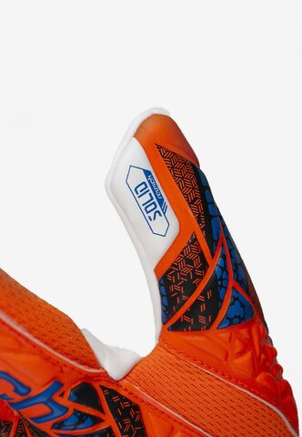 REUSCH Sporthandschoenen 'Attrakt Starter Solid Finger Support' in Oranje
