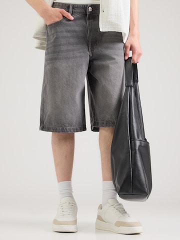 Pegador Loosefit Jeans 'KOLAR JORTS' in Grijs: voorkant