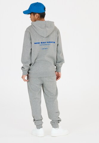 Les'Arcs Athletic Sweatshirt 'Derbe' in Grey