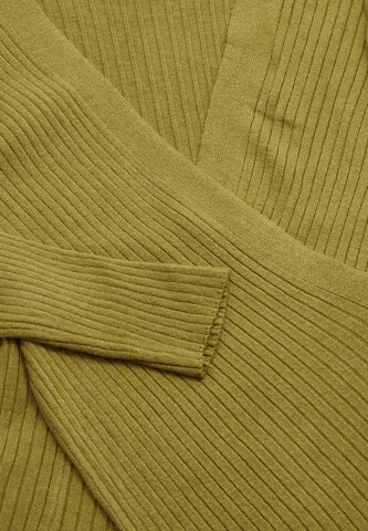 EUCALY Sweater in Green