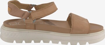 TIMBERLAND - Sandalias en marrón