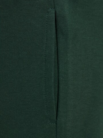 Tapered Pantaloni de la Jack & Jones Junior pe verde
