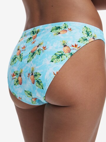 Slip bikini di Desigual in blu