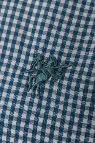DENIM CULTURE Tavaline suurus Triiksärk 'Cesare', värv sinine