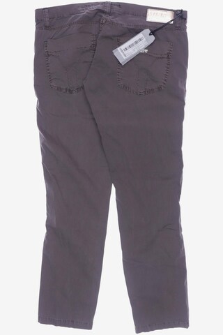 Miss Sixty Pants in XL in Brown