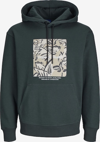 JACK & JONES Sweatshirt 'JORVesterbro' in Green: front