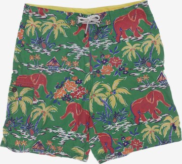 Polo Ralph Lauren Shorts in 30 in Green: front