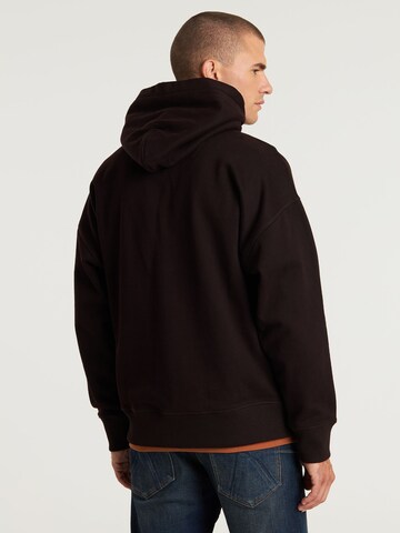 CHASIN' Sweatshirt 'Kyoto' in Braun