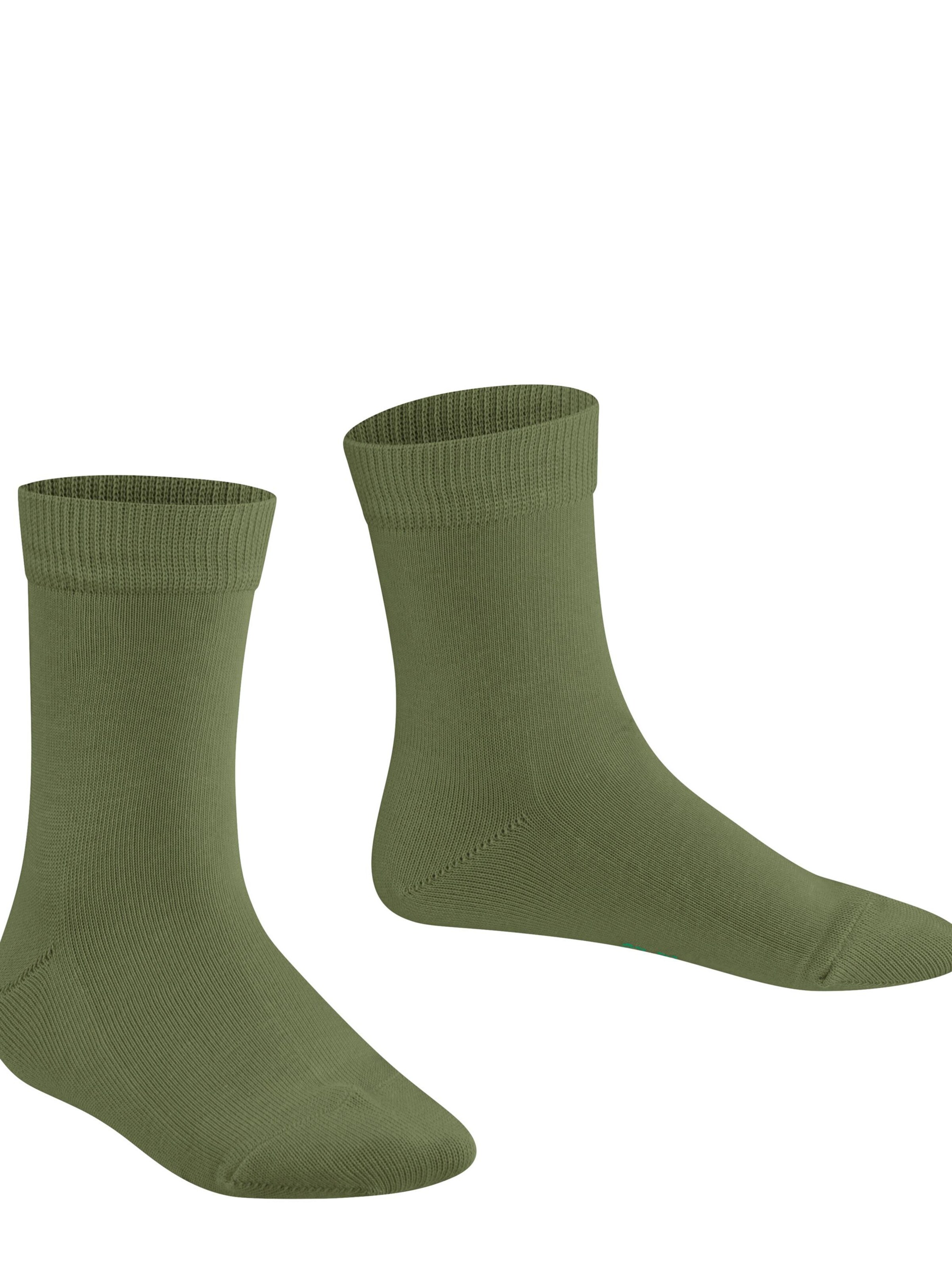 FALKE Socks 'Family' in Green