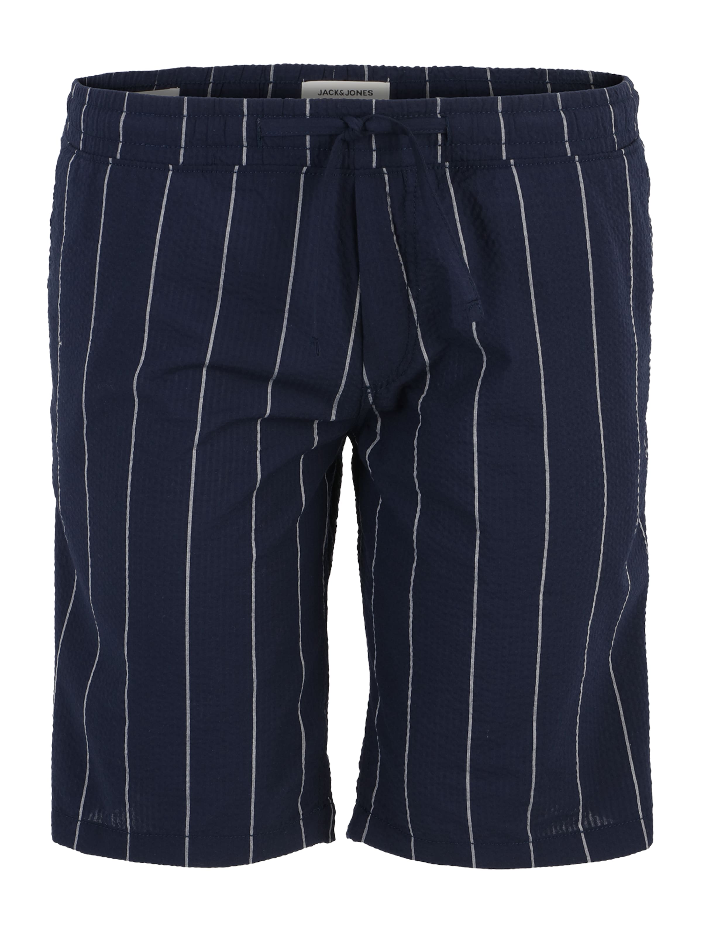 Jack & Jones Plus Regular Pants 'JEFF' in Blue: front