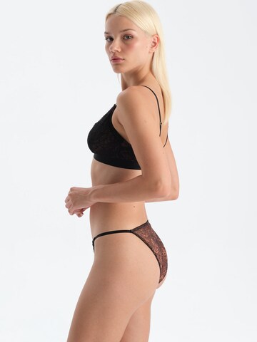 Dagi Triangen Behå i brun