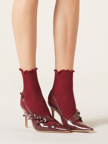 CALZEDONIA Socken in Rot: Vorderseite