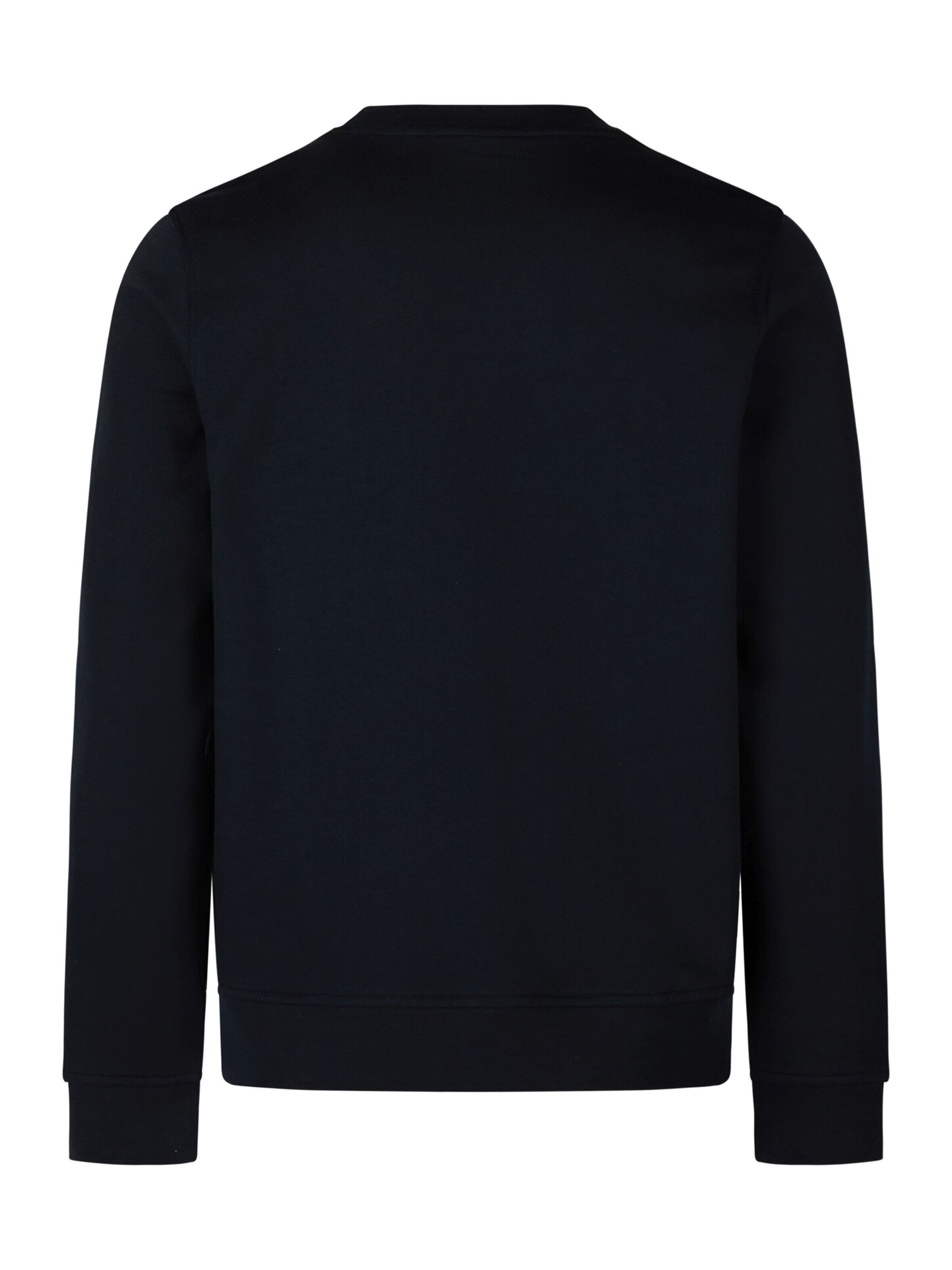 HECHTER PARIS Sweatshirt in Blauw