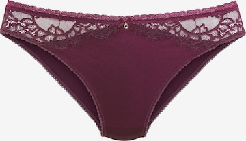LASCANA Slip in Purple: front