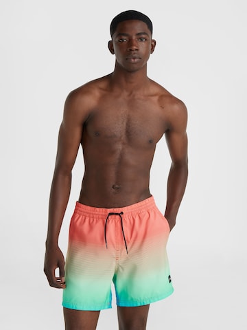 O'NEILL Bathing trunks in Mixed colours: front