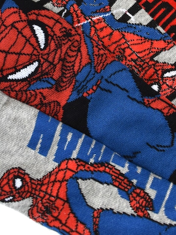 SPIDERMAN Socks 'Marvel' in Mixed colors