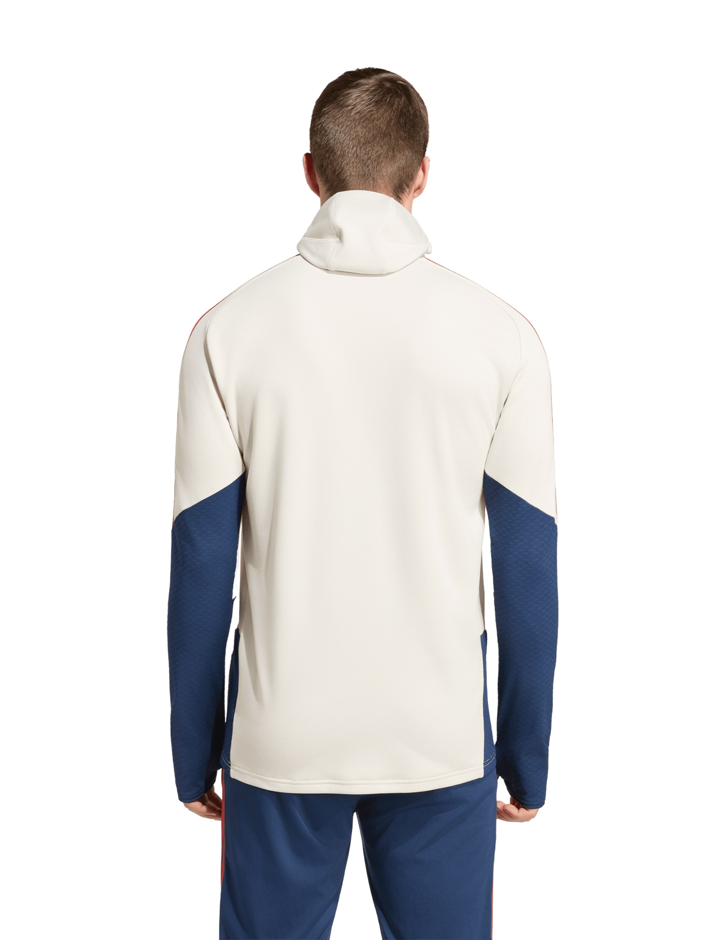 ADIDAS PERFORMANCE Performance Shirt in White