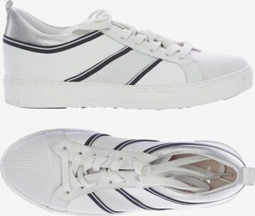 Maripå Sneakers & Trainers in 37 in White: front