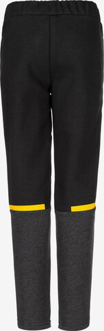 PUMA Slim fit Workout Pants ' Borussia Dortmund' in Black