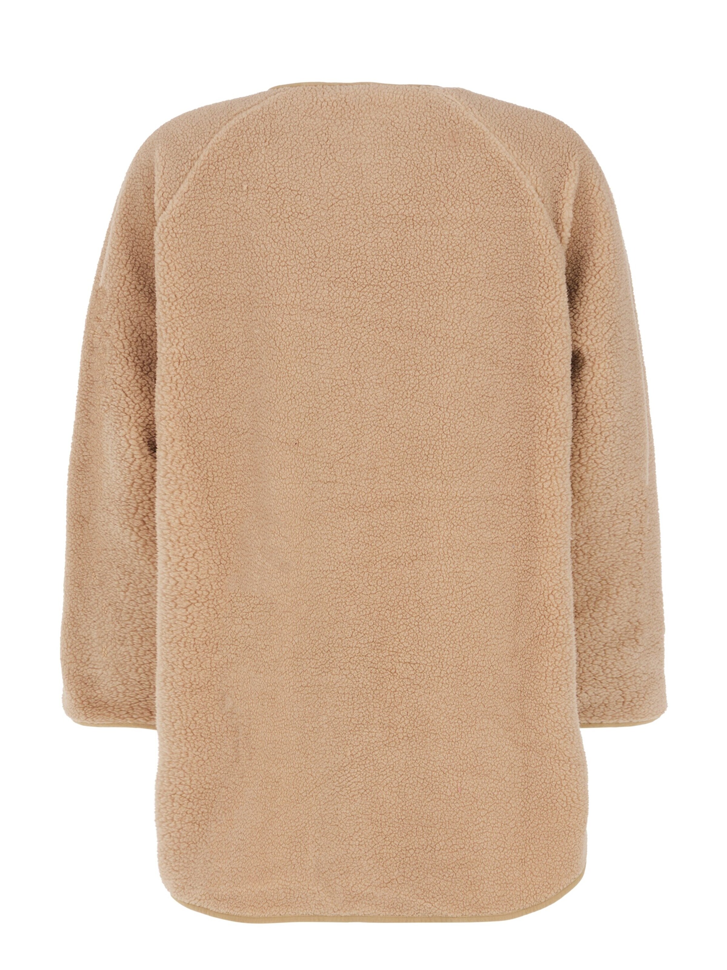 PROTEST Winter Jacket 'PRTJIN' in Brown