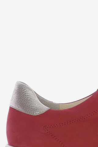 Paul Green Sneaker 38,5 in Rot