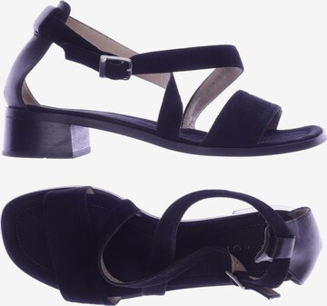 Marc O'Polo Sandals & High-Heeled Sandals in 37 in Black: front