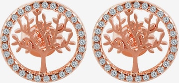 Akzent Earrings '"Minel" aus 925 Sterlingsilber, rhodiniert, langlebig' in Gold: front