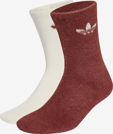 ADIDAS ORIGINALS Socks in Brown: front