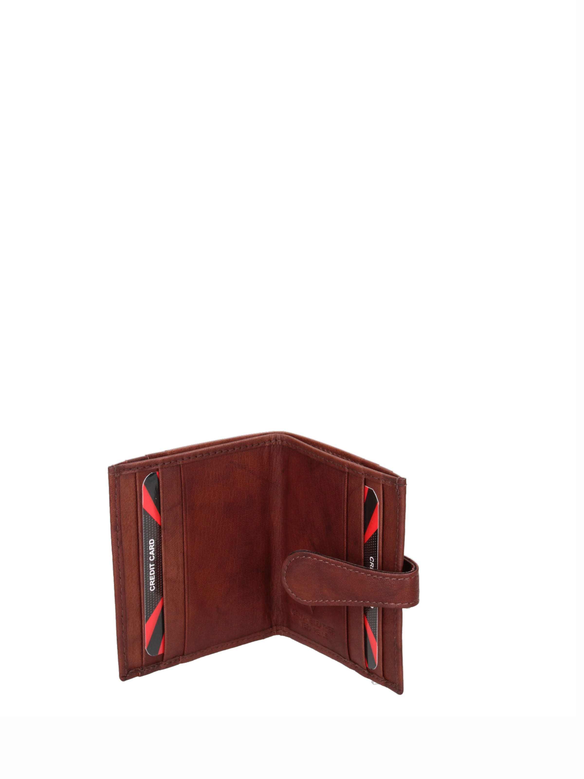 Sergio Valentini Wallet in Brown: front