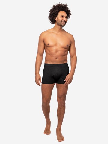 Almonu Boxer shorts 'Every Day Comfort' in Grey