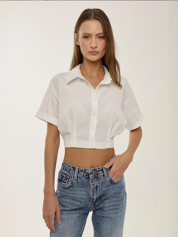 Hiccup Blouse in White: front