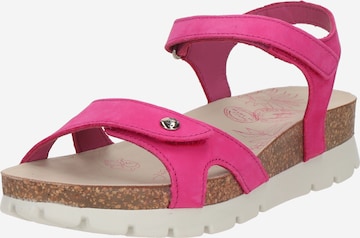 rožinė PANAMA JACK Sandalai 'Sulia B9': priekis