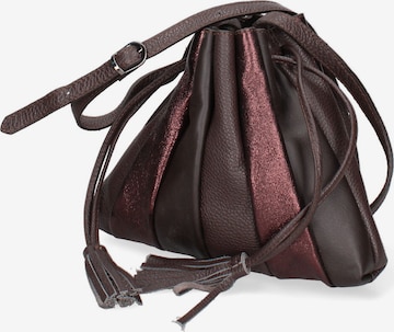 Gave Lux Buideltas in Bruin: voorkant